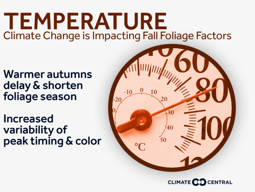 Jpg • Png - Closet, transparent png #4462053