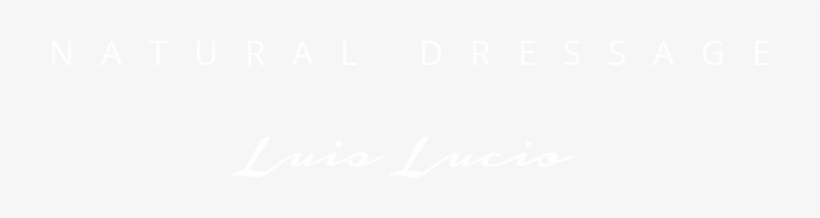 Accor Hotels White Logo, transparent png #4462161