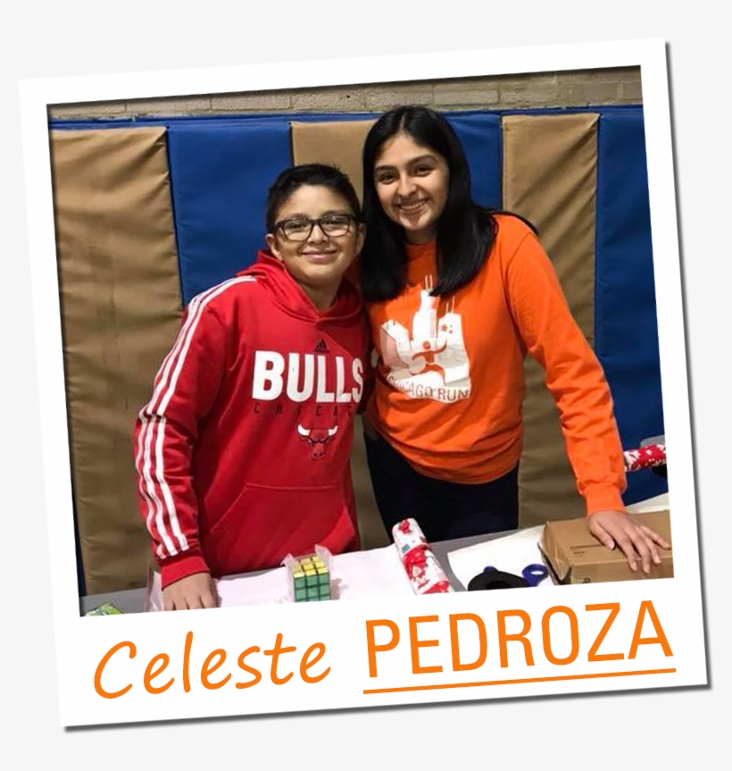 Celeste Polaroid 2018 - Banner, transparent png #4462162