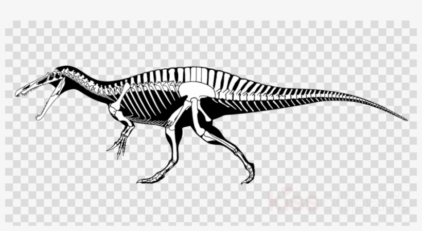 Usa Flag Transparent Background Clipart United States - Ray Bans Png, transparent png #4464227