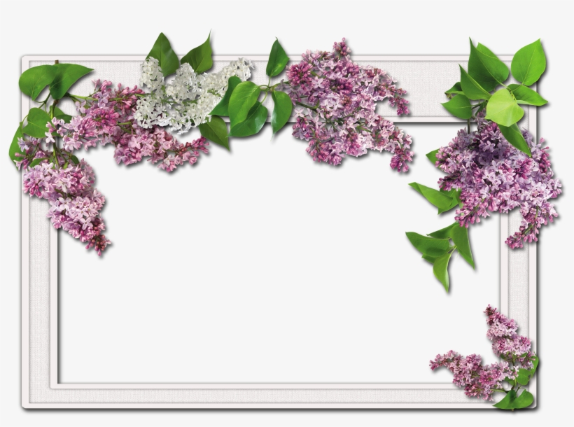 Flower Frames, transparent png #4464278
