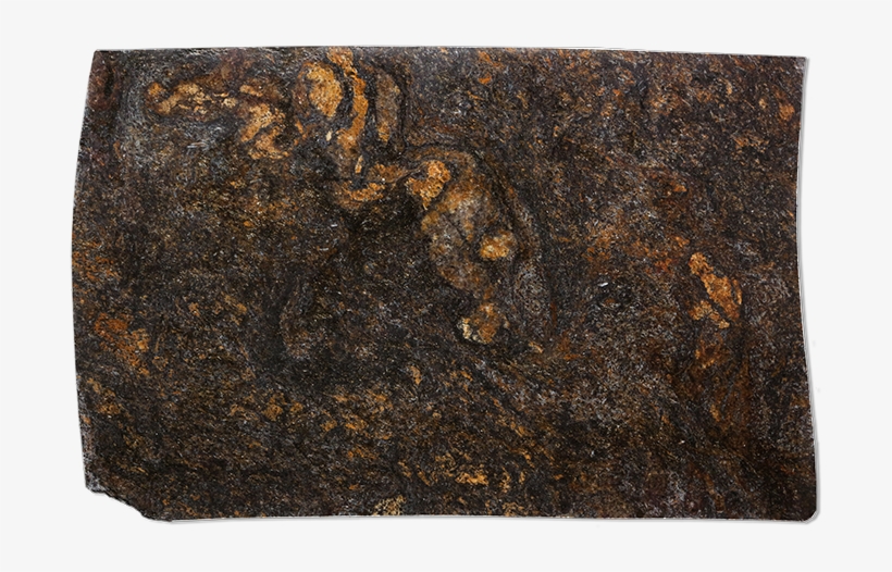 Wood, transparent png #4465207