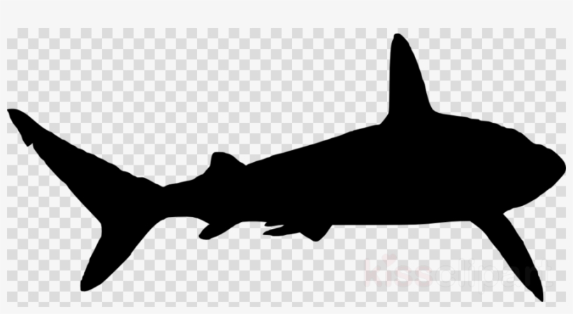 Download Shark Silhouette Png Clipart Shark Clip Art - Black Cowboy Hat Png, transparent png #4465890