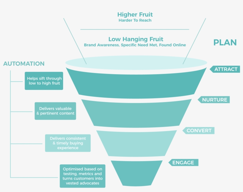 Wise Framework Marketing, transparent png #4466073