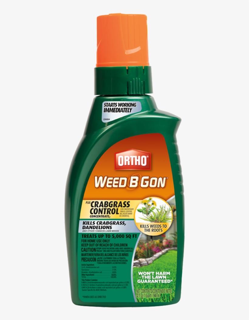 Help Center - Scott Weed B Gon, transparent png #4468067