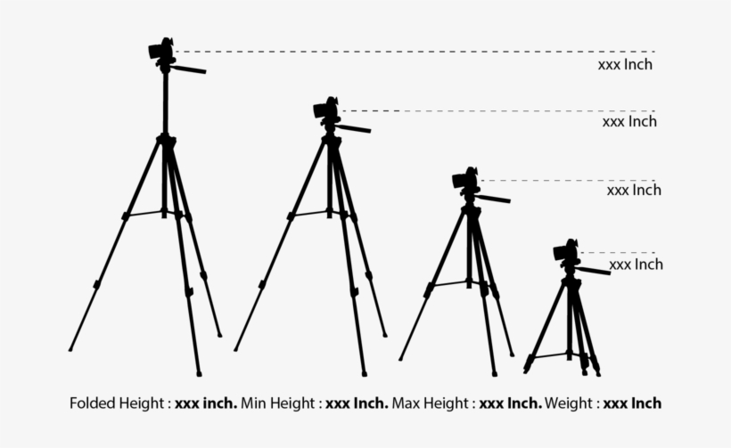 Silhouette Camera Tripod - Video Camera, transparent png #4470980