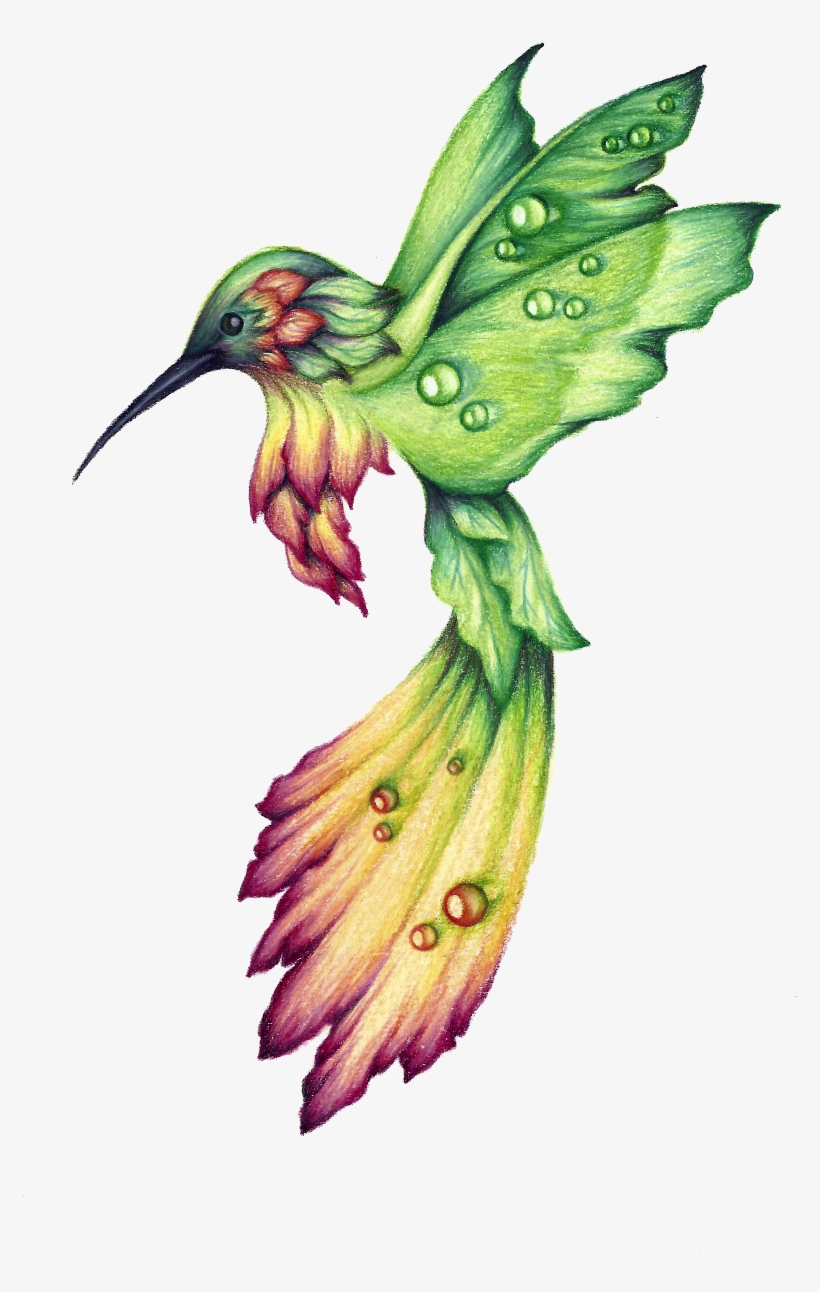 Habitat Drawing Hummingbird Clipart Free - Hummingbird Drawing, transparent png #4471062