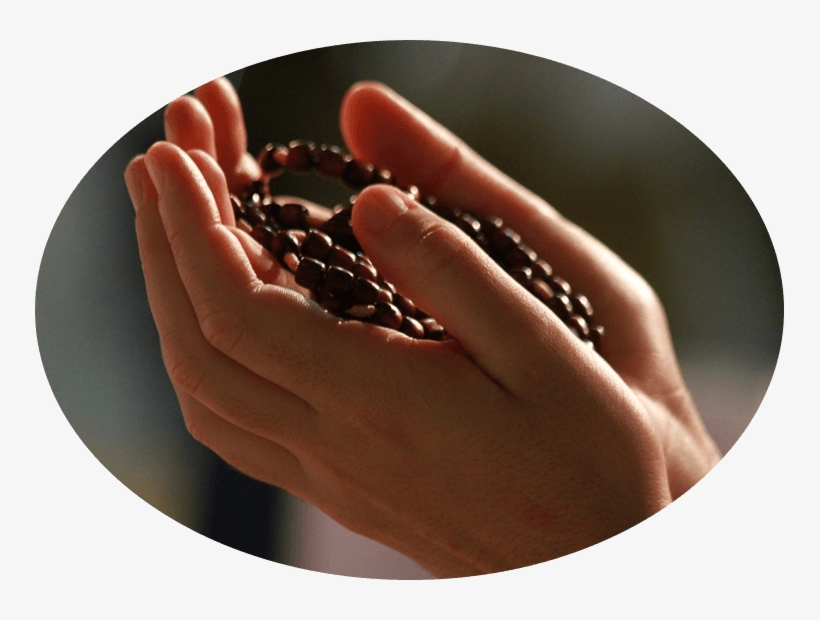 4th Annual Meeting Of The Children Of Mary - Peace, transparent png #4471628