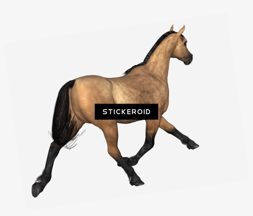 Horses Конь - Horse, transparent png #4476675