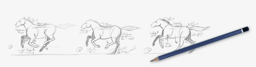 Galway Farm Horses - Horse, transparent png #4477223