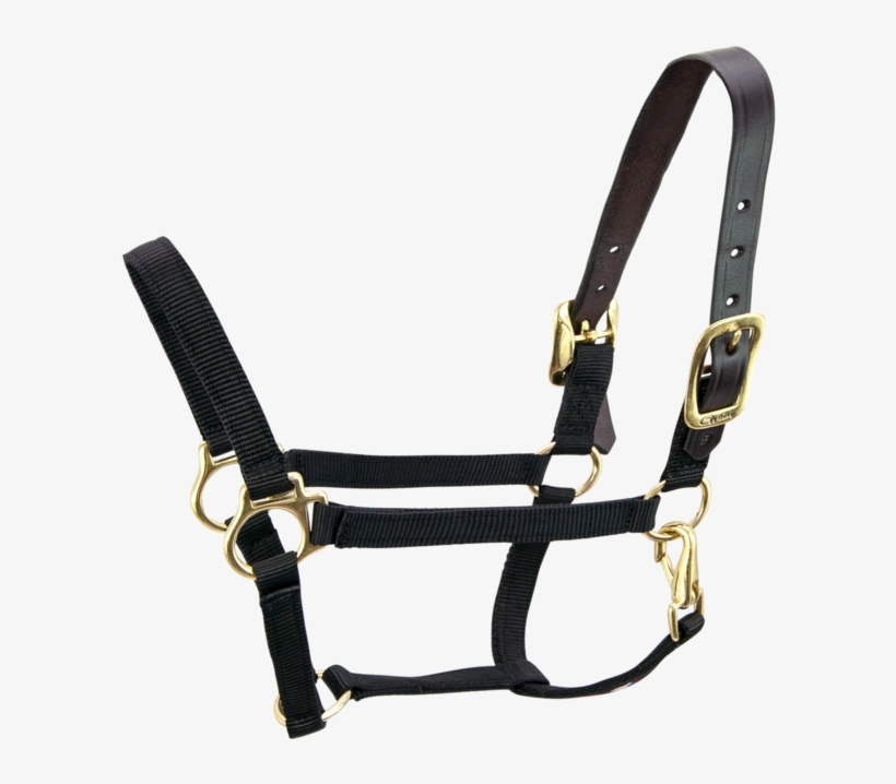 Breakaway 3/4" Halter With Straight Chin - Halter, transparent png #4477361