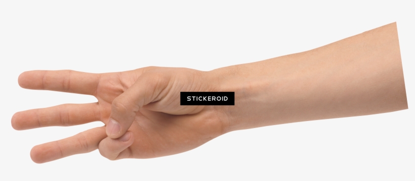 Hands Hand People - Heel, transparent png #4477755