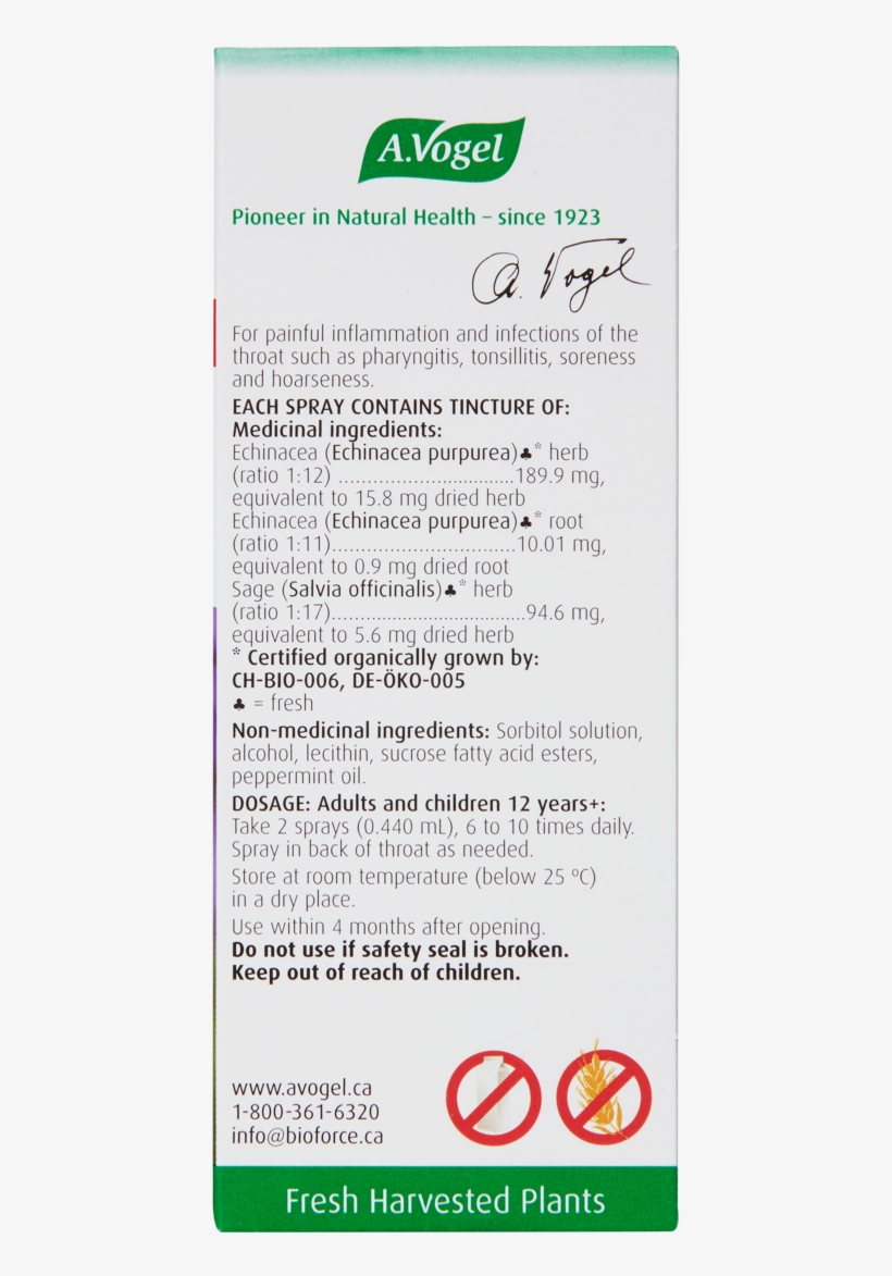 . Vogel Milk Thistle 50ml, transparent png #4478469