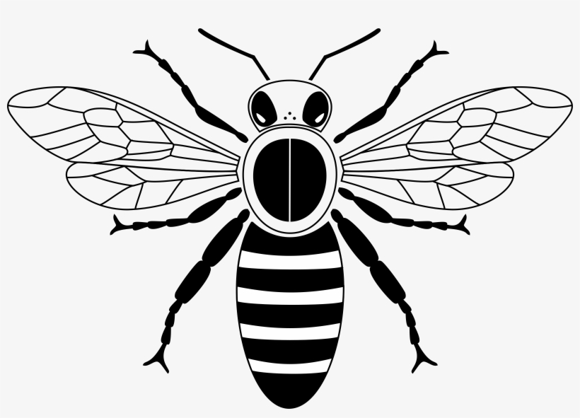 Download Graphic Free Stock Abc Clipart Free Club Image - Honey Bee Drawing Simple, transparent png #4482760
