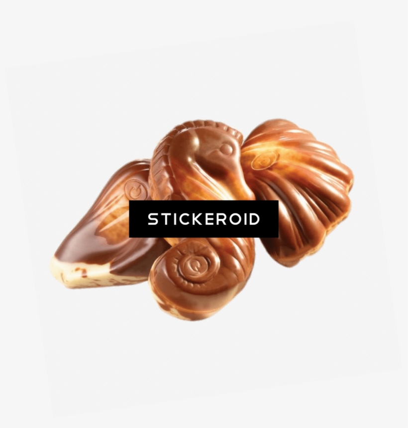 Seashell Animals - Belgian Seashell Chocolates India, transparent png #4484131