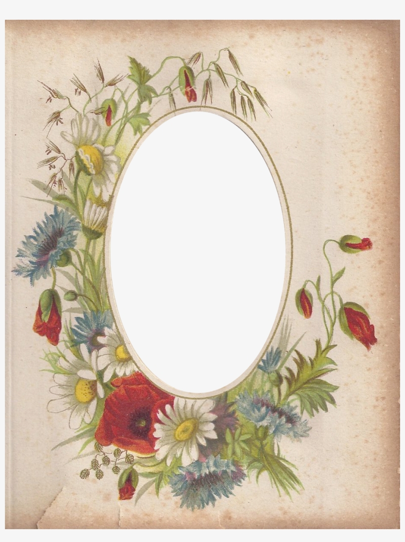 Victorian Photo Album Oval Floral Frame ~ Zibi Vintage - Picture Frame, transparent png #4484224