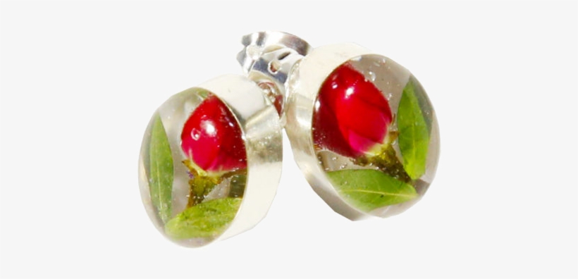 Rose Bud Earrings [stud] Oval Sterling Silver - Earrings Oval Stud Rose Sterling Silver Real Flower, transparent png #4486603