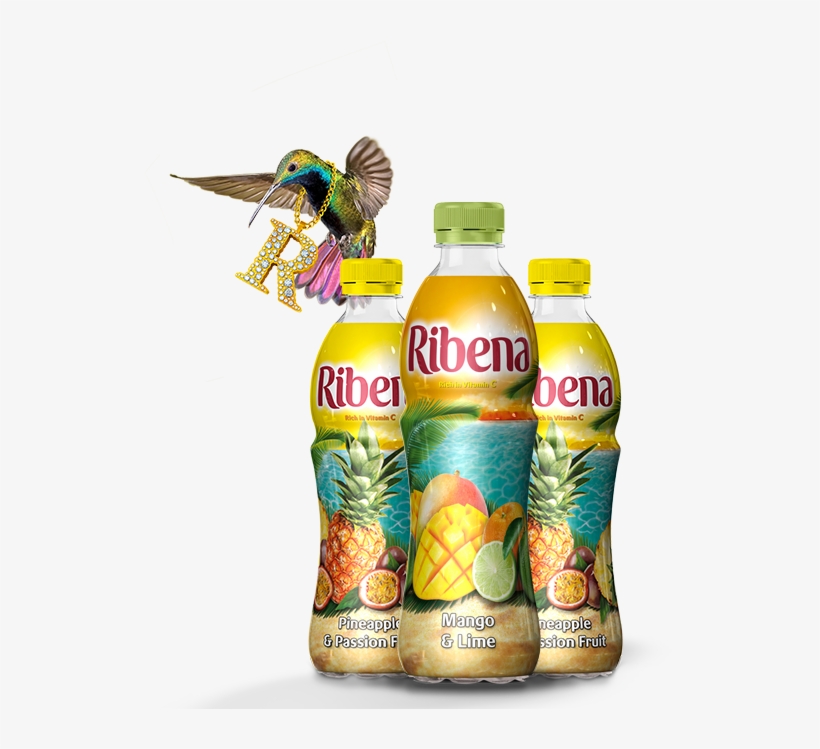 Tropical - Ribena Mango & Lime 12 X 500ml, transparent png #4487907
