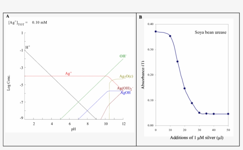 Distribution Diagram Of Silver(i) Ions Make By Medusa - Diagram, transparent png #4489870