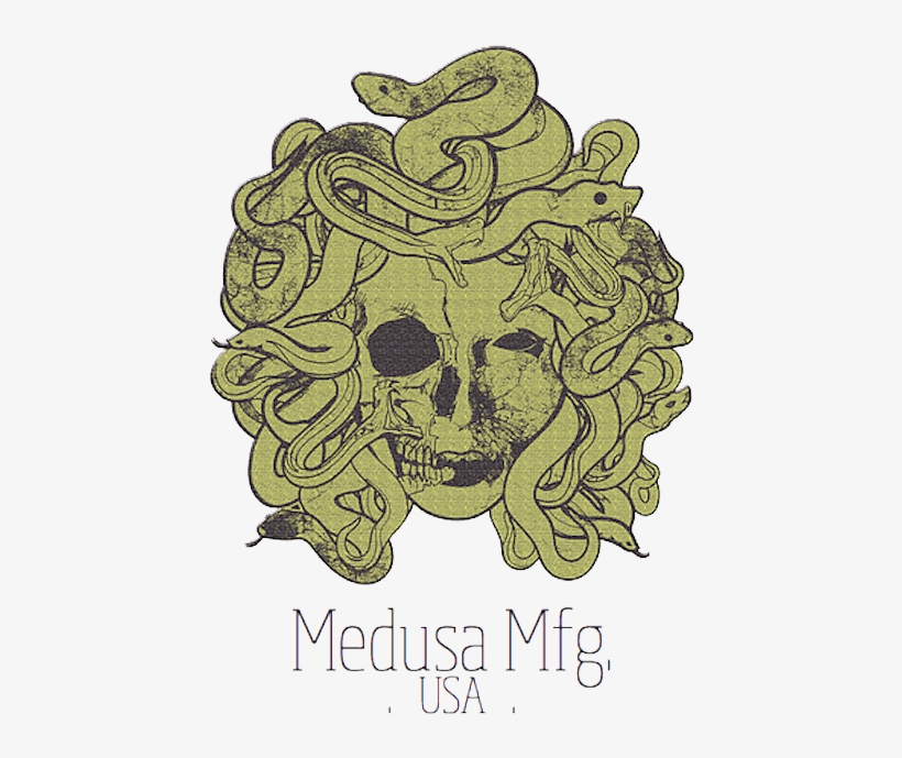 Medusa Manufacturing - Medusa Snake Hair, transparent png #4490212