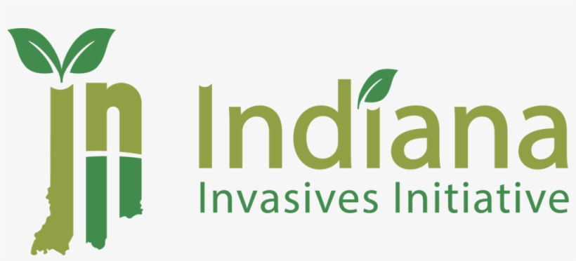 Iii Logo 4c@3x - Graphic Design, transparent png #4492381