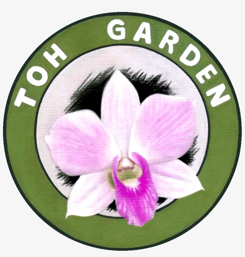 Chinese New Year Orchids And Plants - Toh Garden, transparent png #4495297