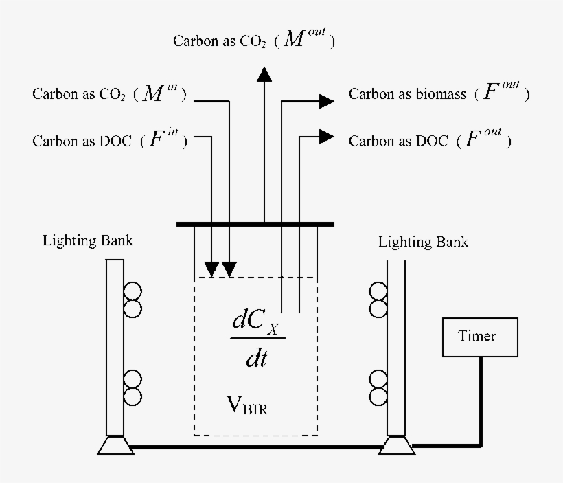 Experimental Setup For Continuous Cultivation Of Marine - Diagram, transparent png #4495356