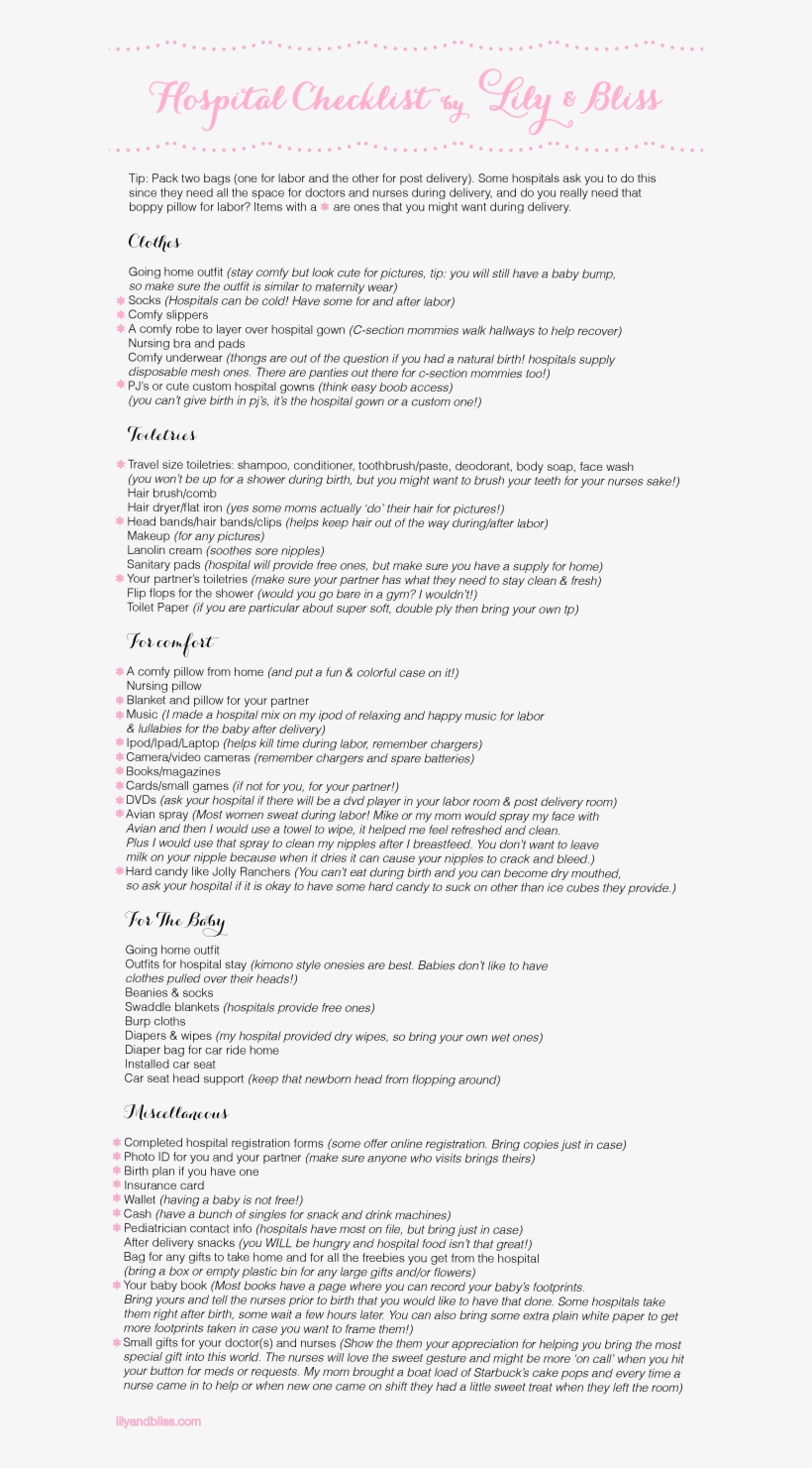 Hospitalchecklist1 600×1,421 Pixels Hospital List, - Folio Six From Burchard Of Sion's De Locis Ac Mirabilibus, transparent png #4496152