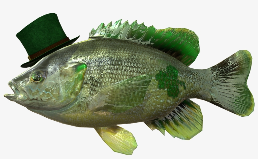 New Leprechaun Fish Added - St Patrick's Fish, transparent png #4496790