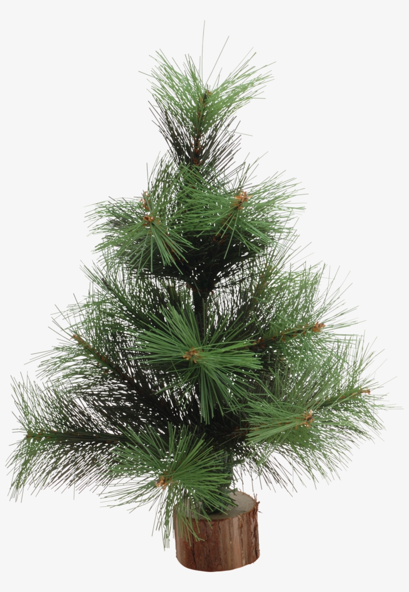 Christmas Tree Png, Download Png Image With Transparent - Christmas Tree, transparent png #4496916