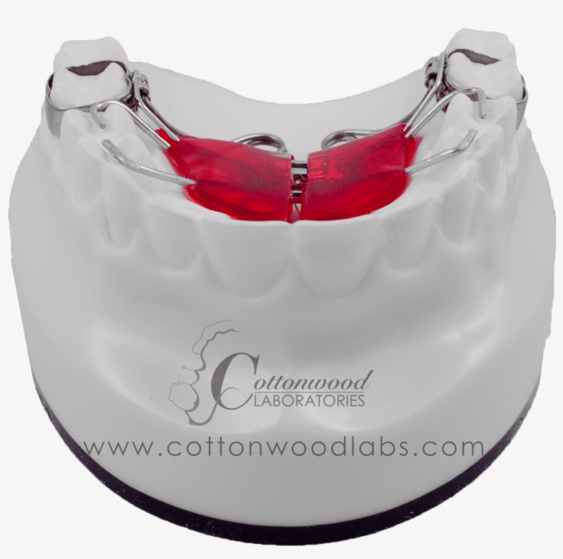 T-rex - Hobo Bag, transparent png #4499814