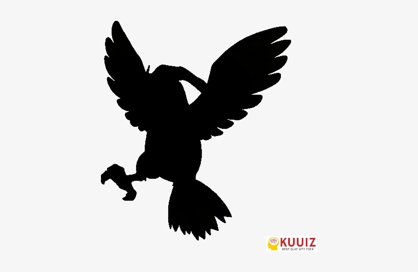 Who's That Pokémon Spearow - Pidgeotto, transparent png #450121