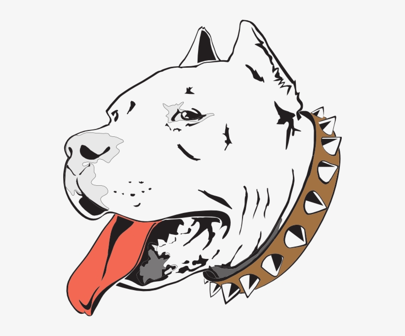 Pit Bull Drawing At Getdrawings Com Free - Pitbull Throw Blanket, transparent png #450122