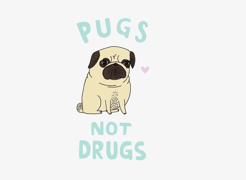 Transparent Pug - Pugs Not Drugs Cute Ladies Pug Dog T-shirt, transparent png #450466