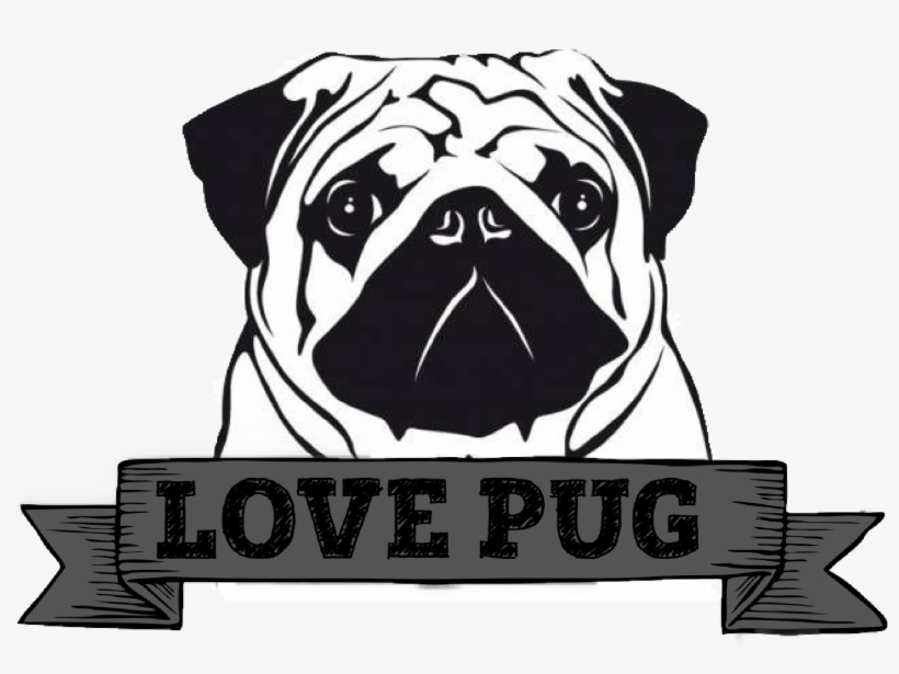 Freeuse Download Pin By Joobjang On Art Pinterest Pugs - Pug, transparent png #450505