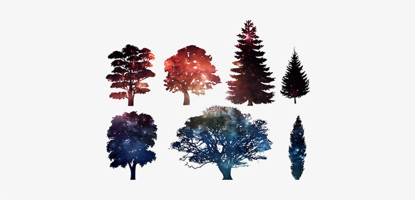 Pine Tree Silhouette, transparent png #450746