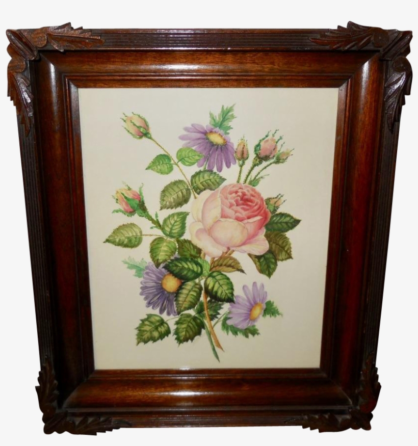 Artist Signed Floral Watercolor Of Moss Rose And Purple - Garden Roses, transparent png #450827