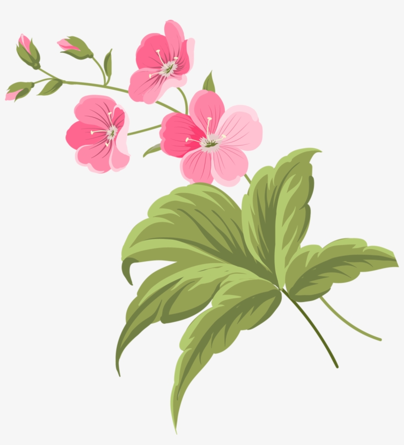 Яндекс - Фотки - Flower, transparent png #450855
