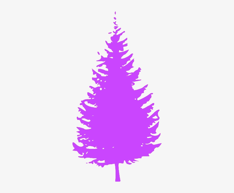 Spirit Day Evergreen Tree - Pine Tree Silhouette Vector, transparent png #451016