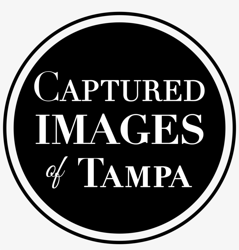 Patrick's Portfolio - Mono Glasgow, transparent png #451106