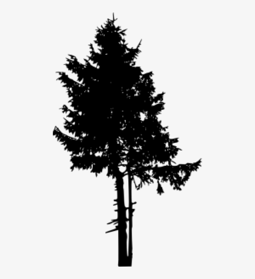 Download Pine Tree Png Free - Pine Tree Tree Silhouette - Free ...