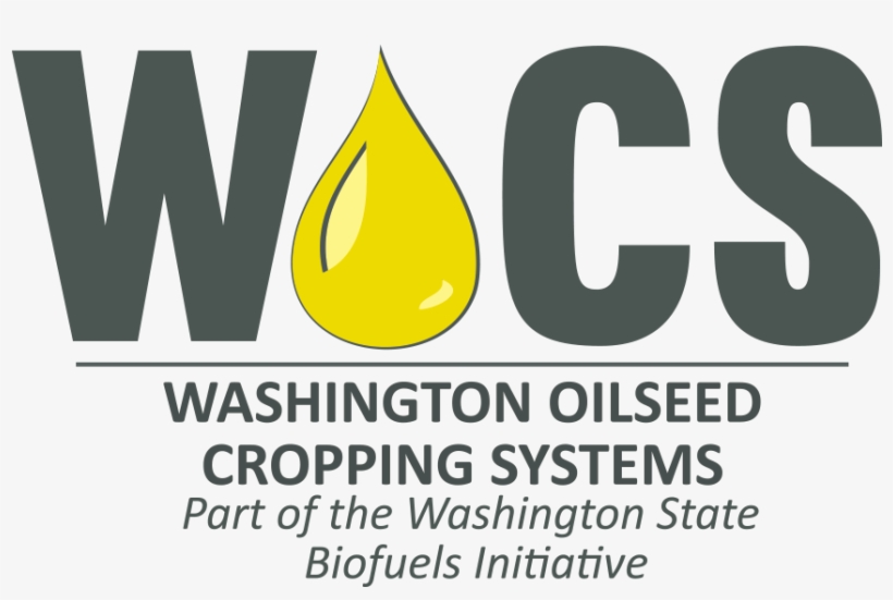 Abstract - Sign, transparent png #451878