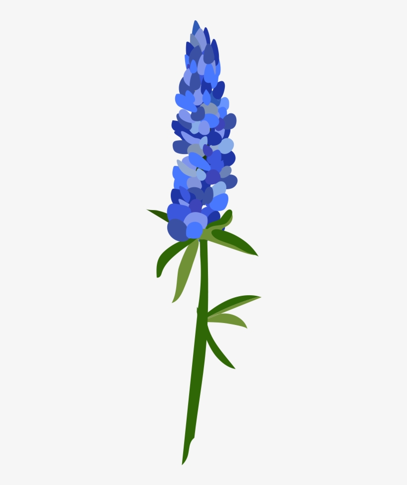 Bluebonnet Clipart At Getdrawings - Texas Bluebonnet, transparent png #452463