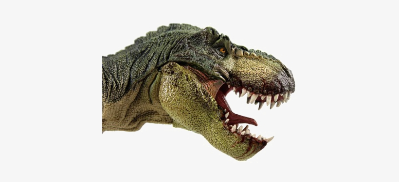 T Rex Png File - T Rex Head Side View, transparent png #453092