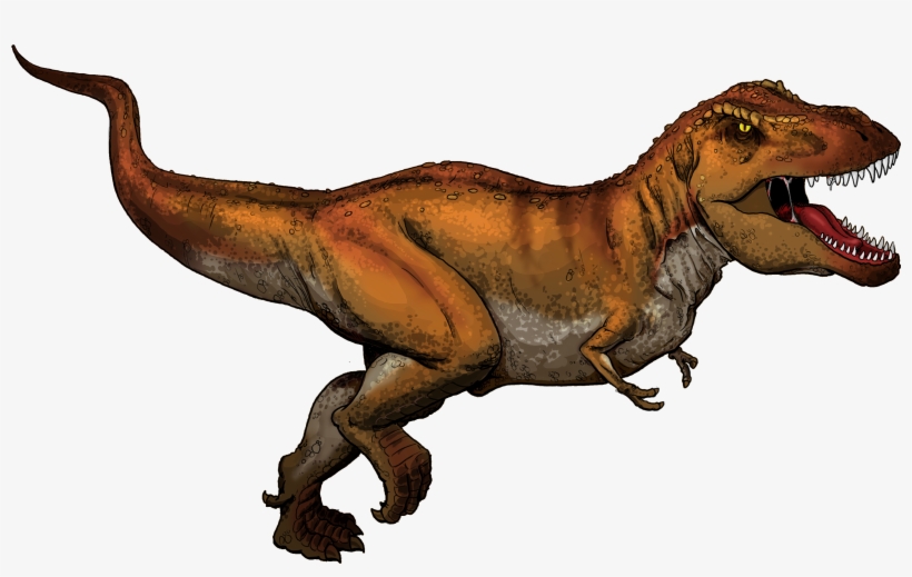 Tyrannosaurus Rex Colored - Tyrannosaurus Rex En Ingles, transparent png #453147