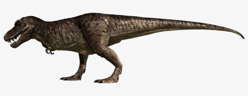 Tyrannosaurus Rex - Jurassic Fight Club T Rex, transparent png #453332