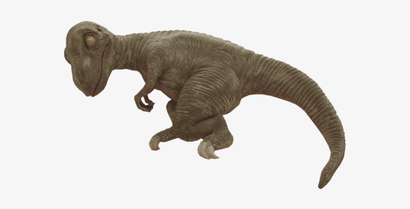 Svg Library Dinosaurs Png Transparent Images Pluspng - Real Baby T Rex, transparent png #453537