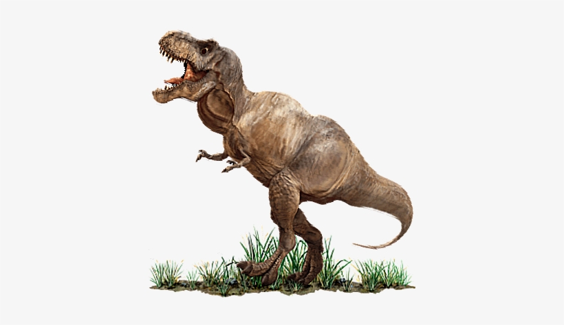 t rex leg bones