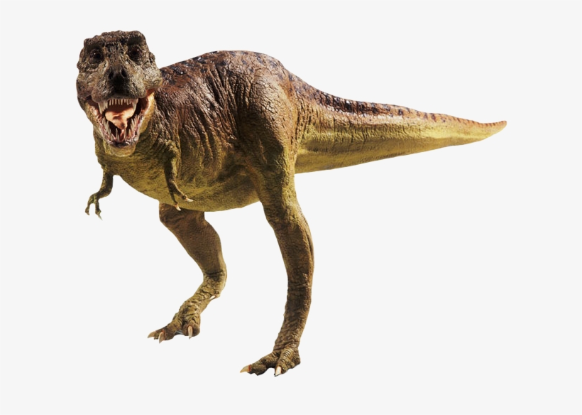 Dinosaur Footprints Reservation Tyrannosaurus Ransel - Dibujo Huellas De Dinosaurio, transparent png #453603