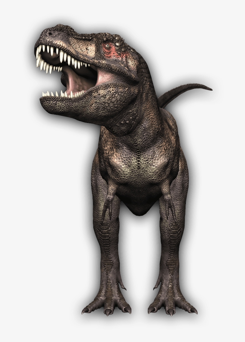 T-rex - Trex Front View, transparent png #453756